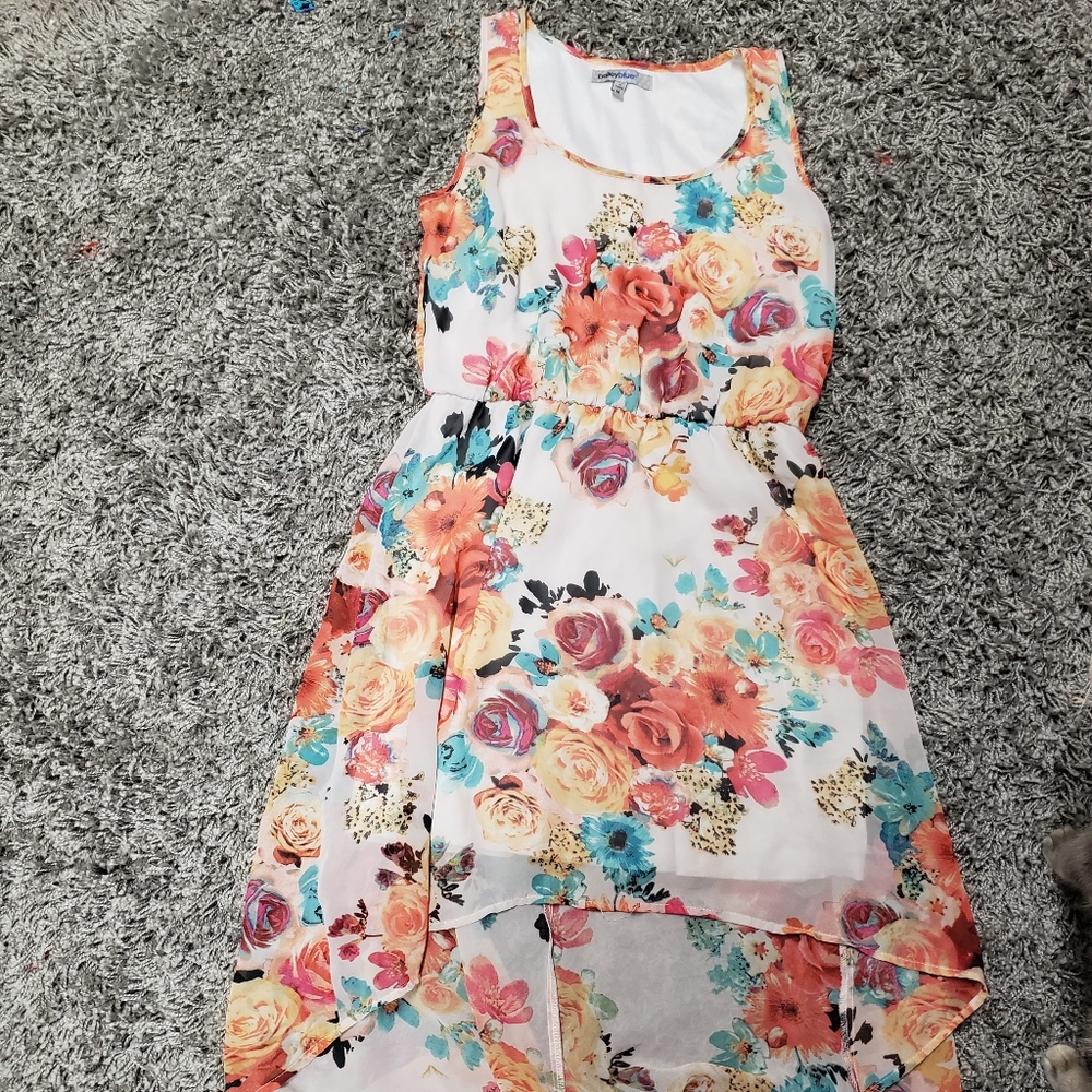 Bailey Blue Hi Low Floral print dress